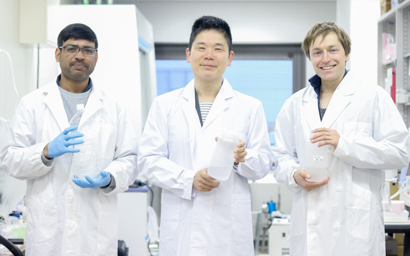 Lab team