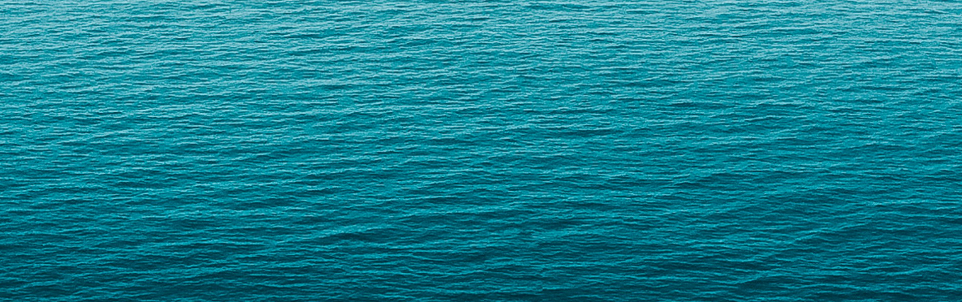 Access our Courses portfolio